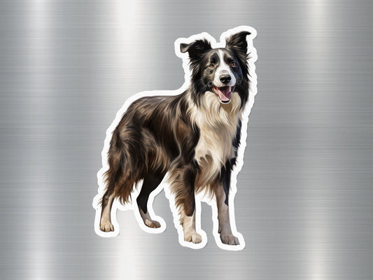 Cute Border Collie Dog Sticker