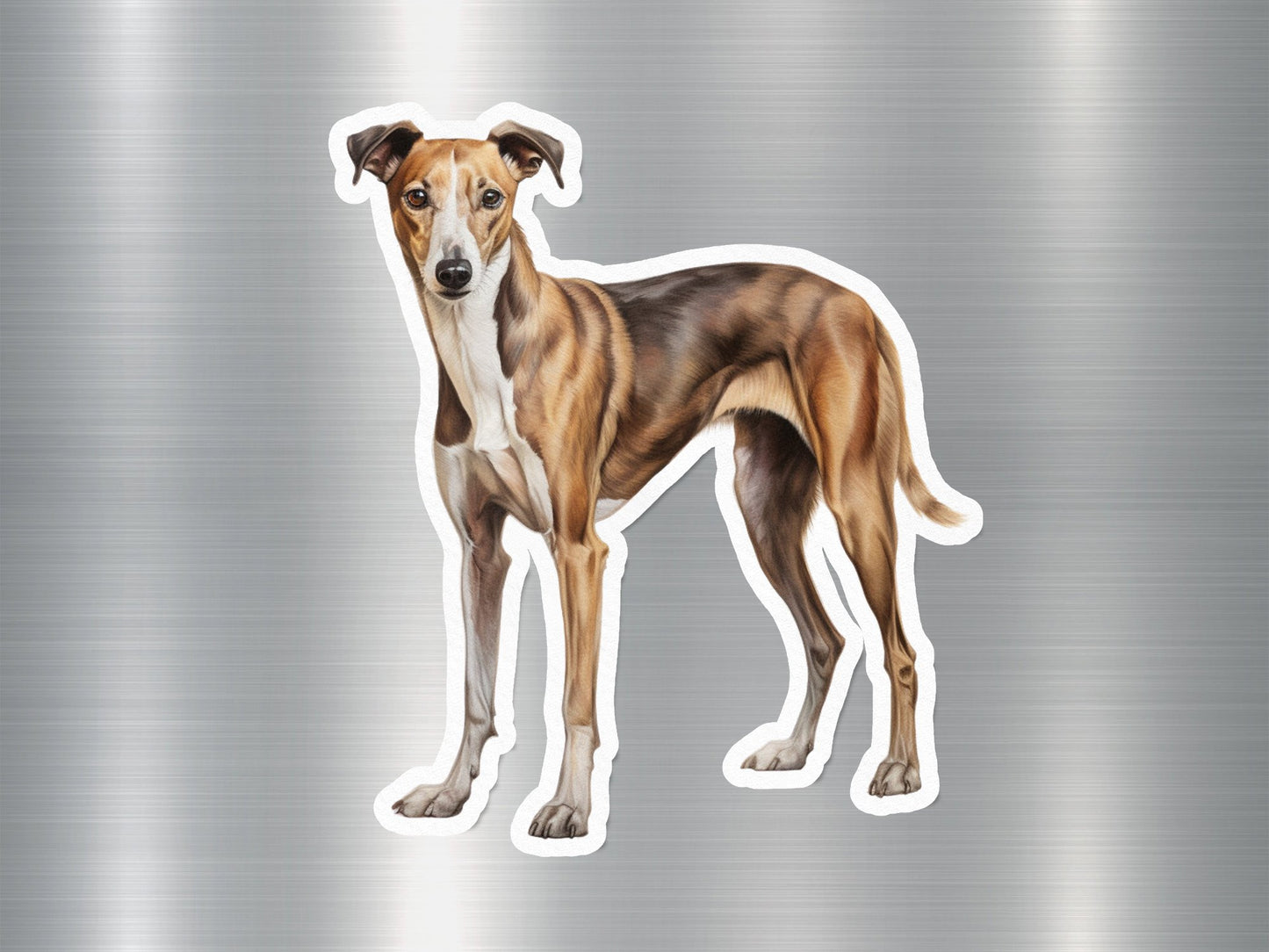 Whippet Dog Sticker