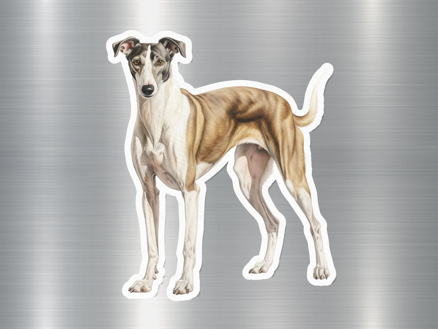 Greyhound Dog Sticker