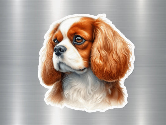 Cute Cavalier King Charles Spaniel Dog Sticker