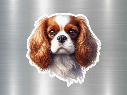 Blenheim Cavalier King Charles Spaniel Dog Sticker