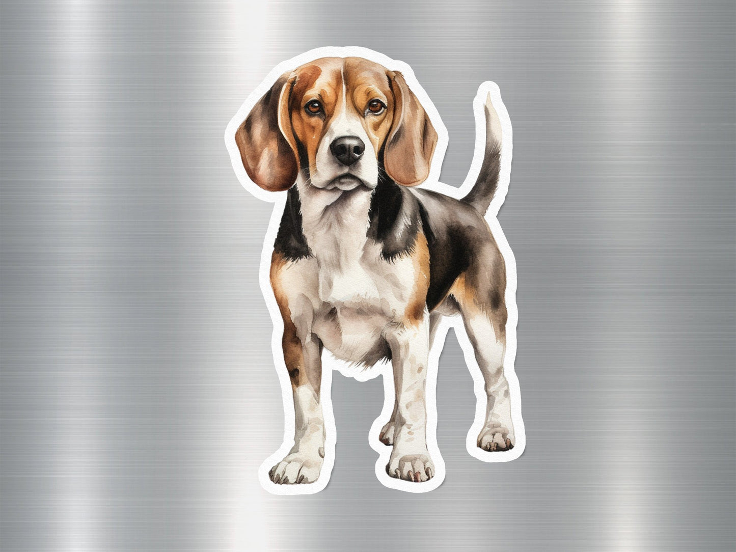Wholesale Pocket Beagle Breed Dog Sticker