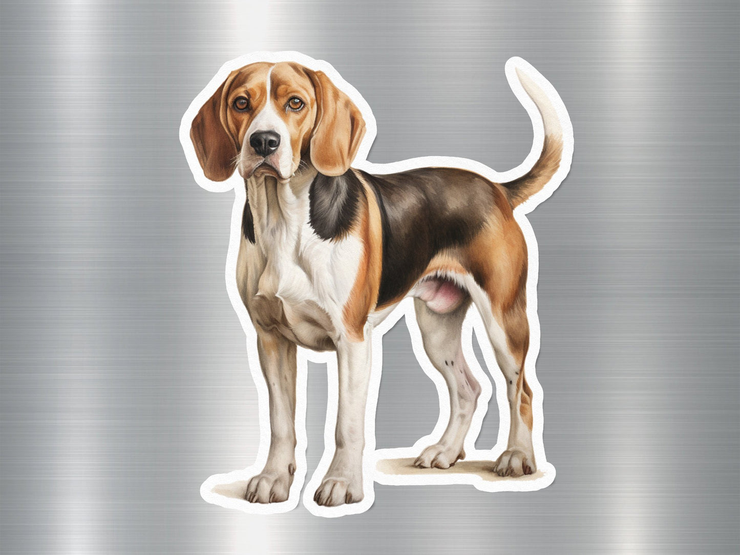 North Country Beagle Dog Sticker