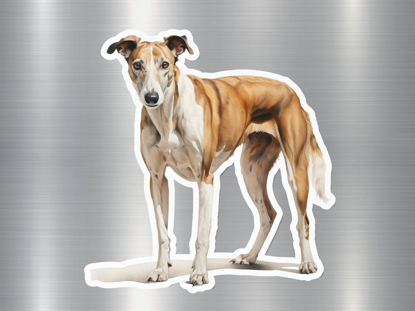 Adorable Whippet Dog Sticker