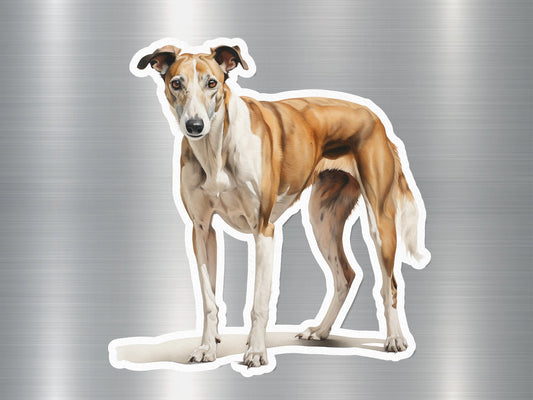 Adorable Whippet Dog Sticker