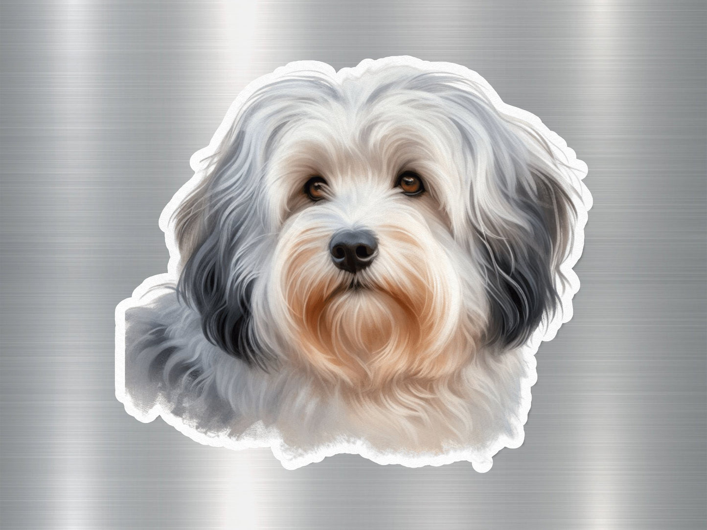 Havanese Dog Sticker