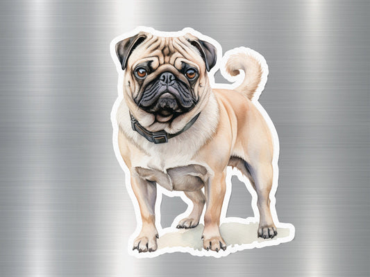 Adorable Pug Dog Sticker