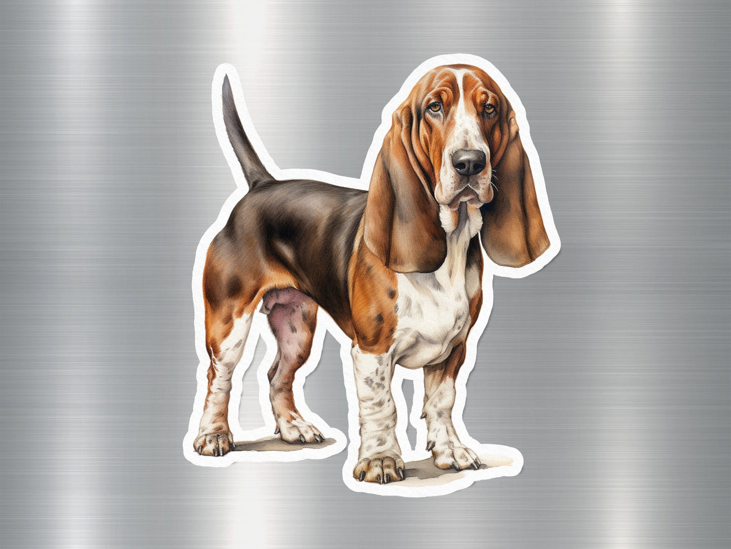 Basset Hound Puppy Dog Sticker