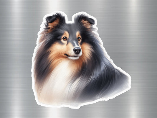 Shetland Sheep Dog Sticker