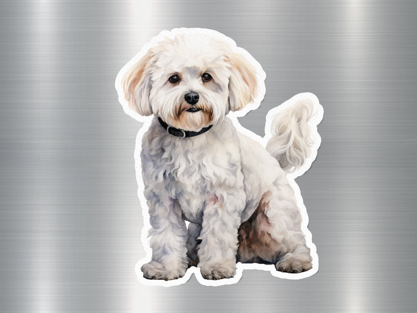 Adorable Maltese Dog Sticker