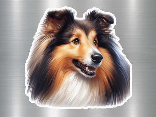 Adorable Sheltie Breed Dog Sticker