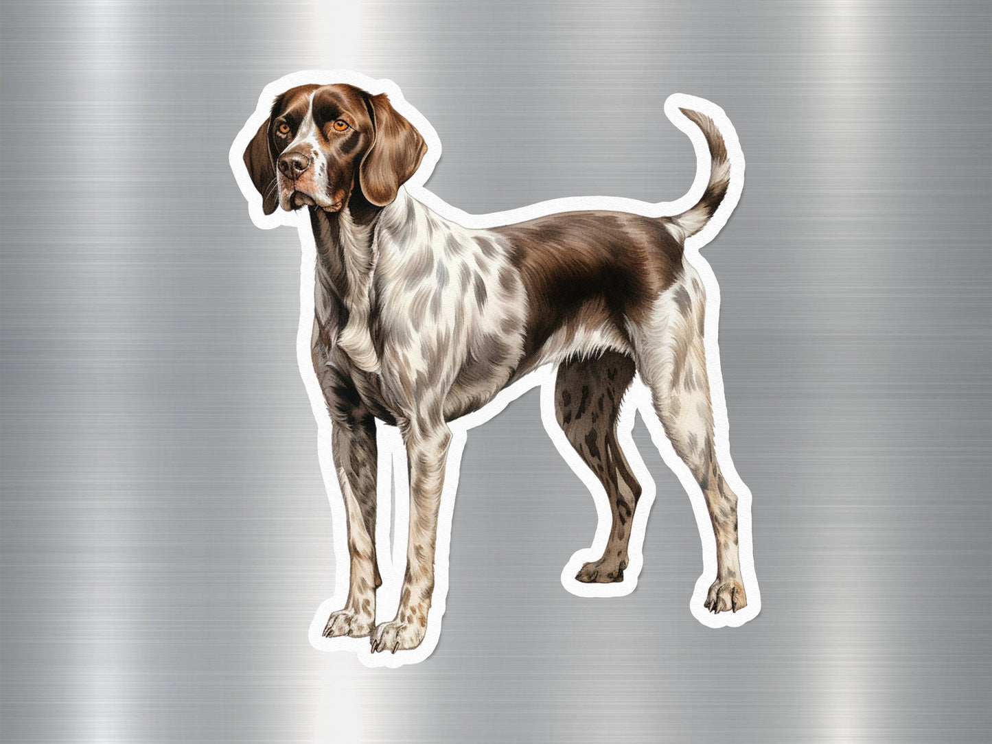 German Shorthaired Dog Sticker