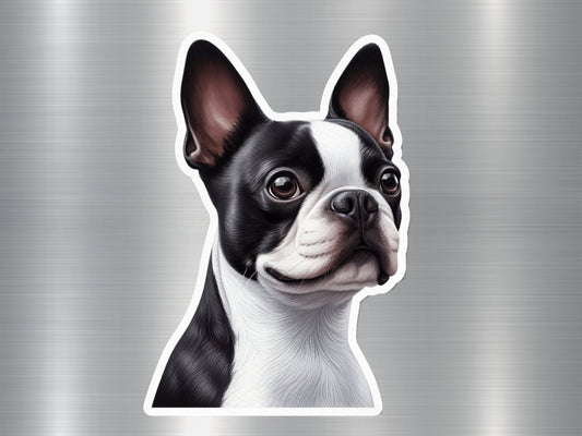 Boston Terrier Dog Sticker