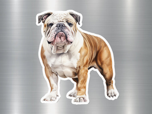 Angry American Bulldog Dog Sticker