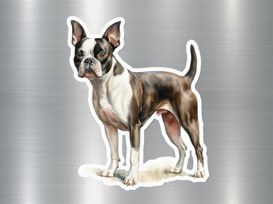 Boston Terrier Dog Sticker