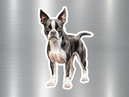 Wholesale Adorable Boston Terrier Dog Sticker