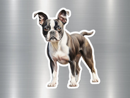 Adorable Cute Boston Terrier Dog Sticker