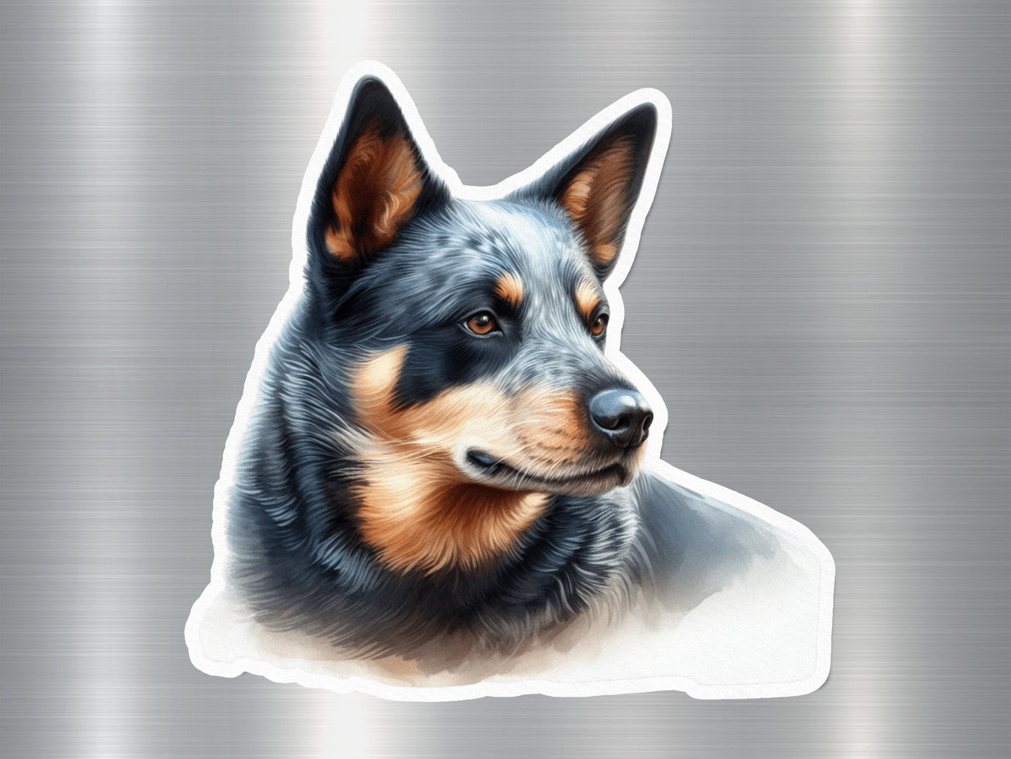 Wholesale Australian Cattle Dog Sticker
