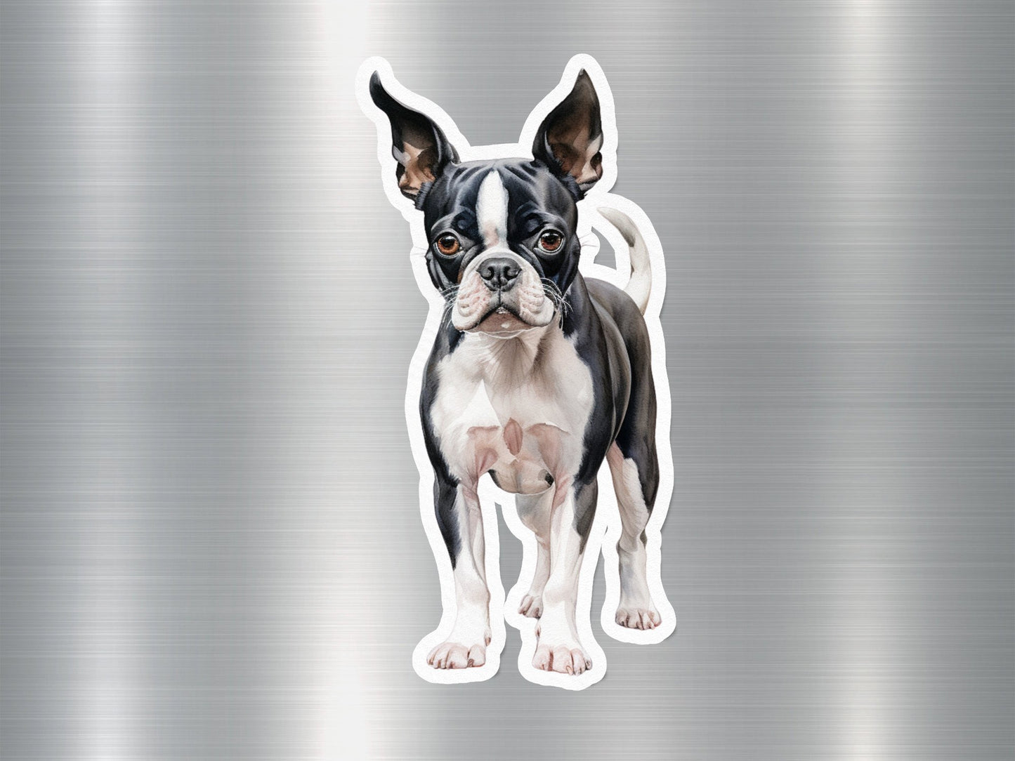 Wholesale Adorable Boston Terrier Dog Sticker