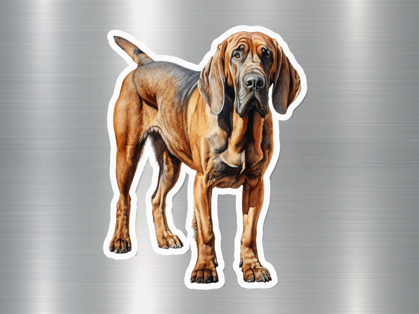 Wholesale Bloodhound Dog Sticker