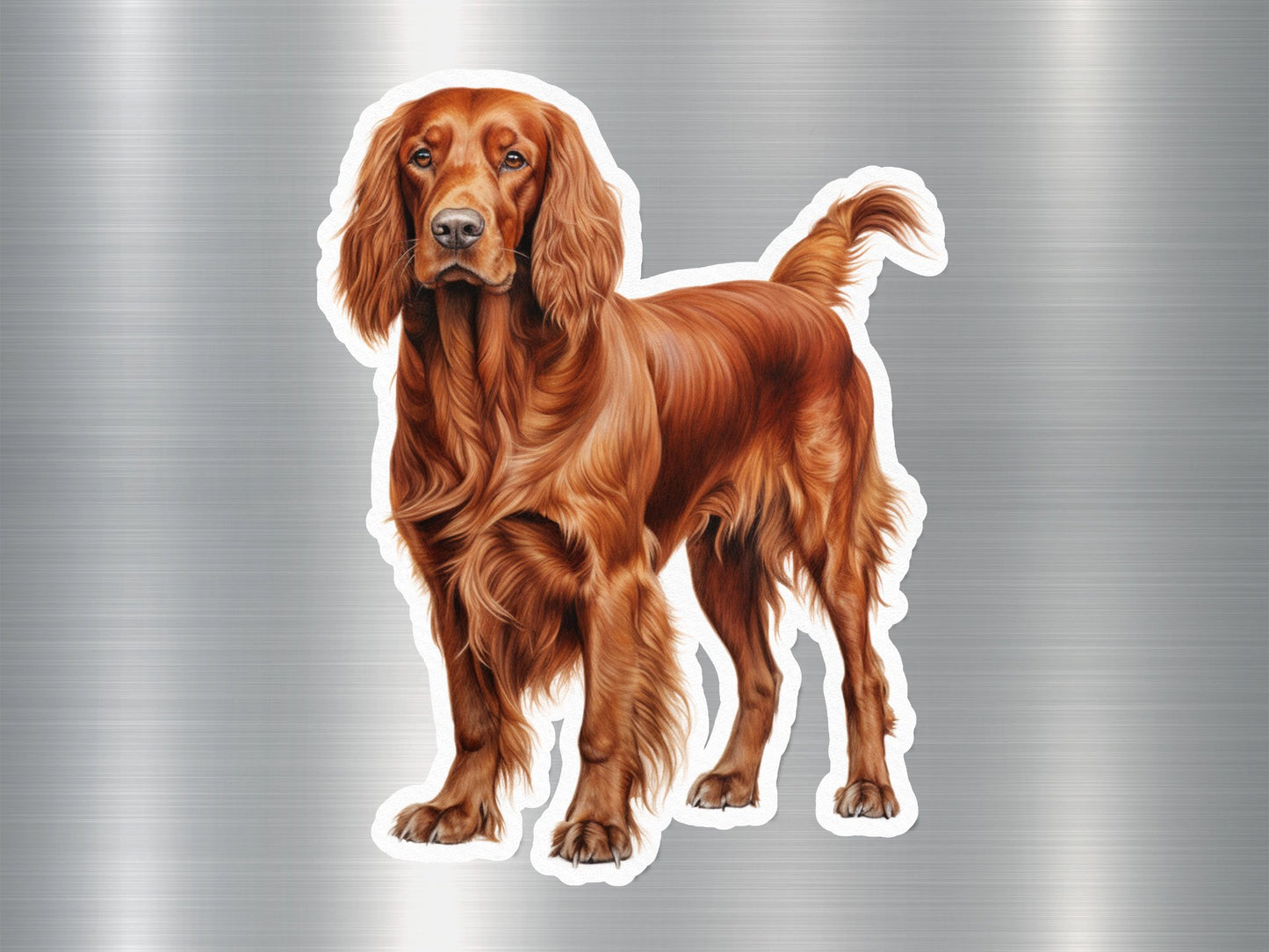 Irish Setter Dog Sticker