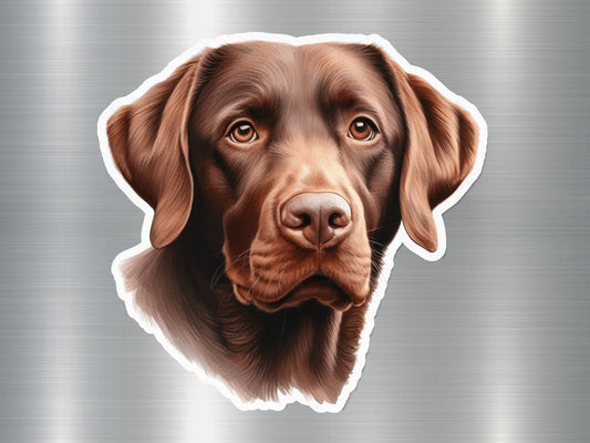 Chesapeake Bay Retriever Dog Sticker