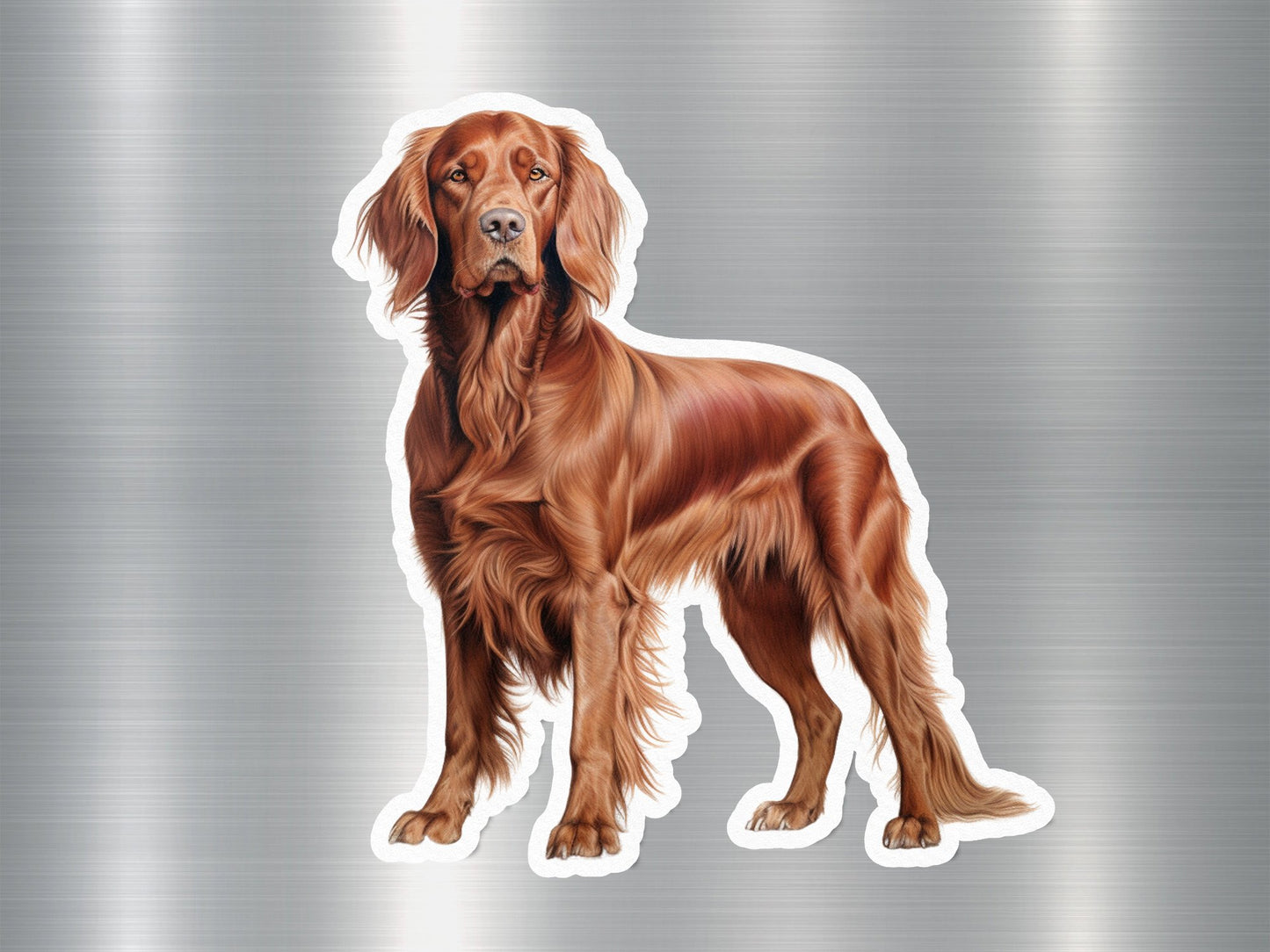 Red Irish Setter Dog Sticker