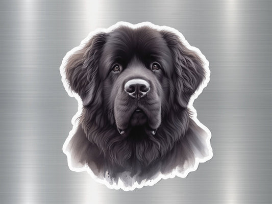 Attractive Newfoundland Dog Sticker