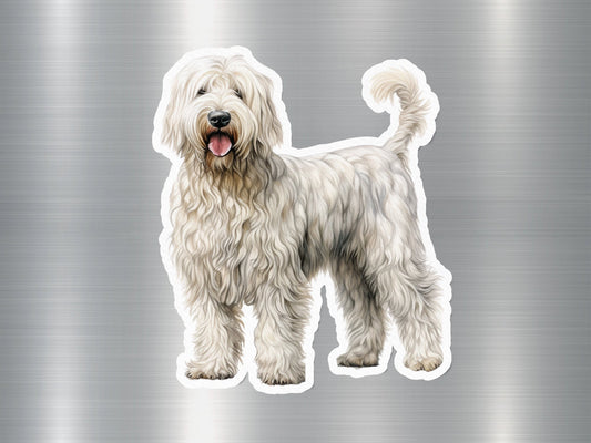 Bordoodle Puppy Dog Sticker