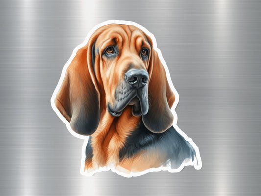 Realistic Cute Bloodhound Dog Sticker