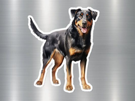 Delightful Beauceron Dog Sticker