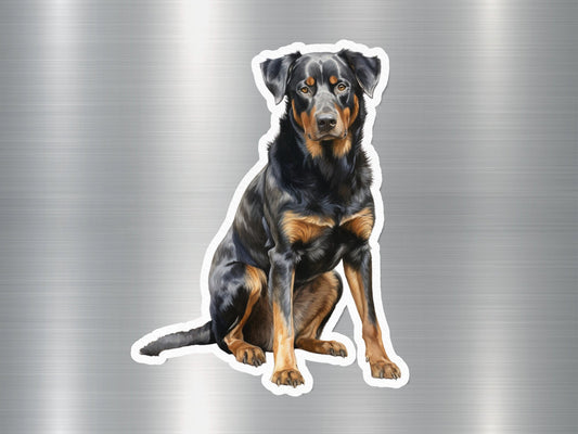 Beauceron Dog Sticker