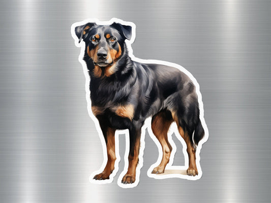 Appealing Beauceron Dog Sticker