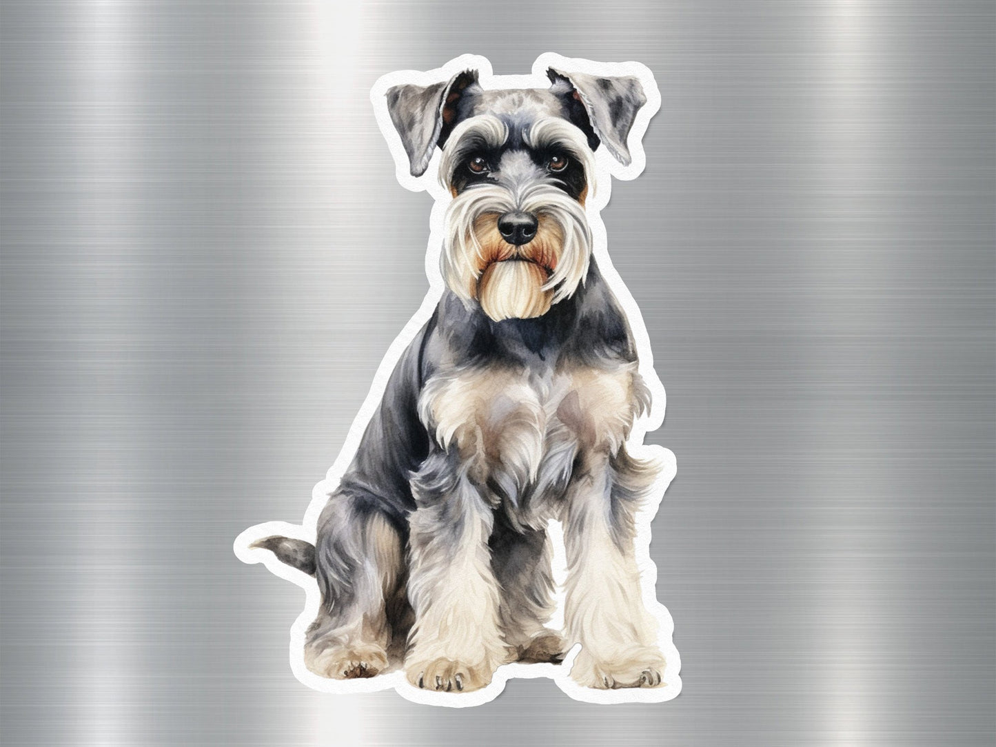 Appealing Miniature Schnauzer Dog Sticker