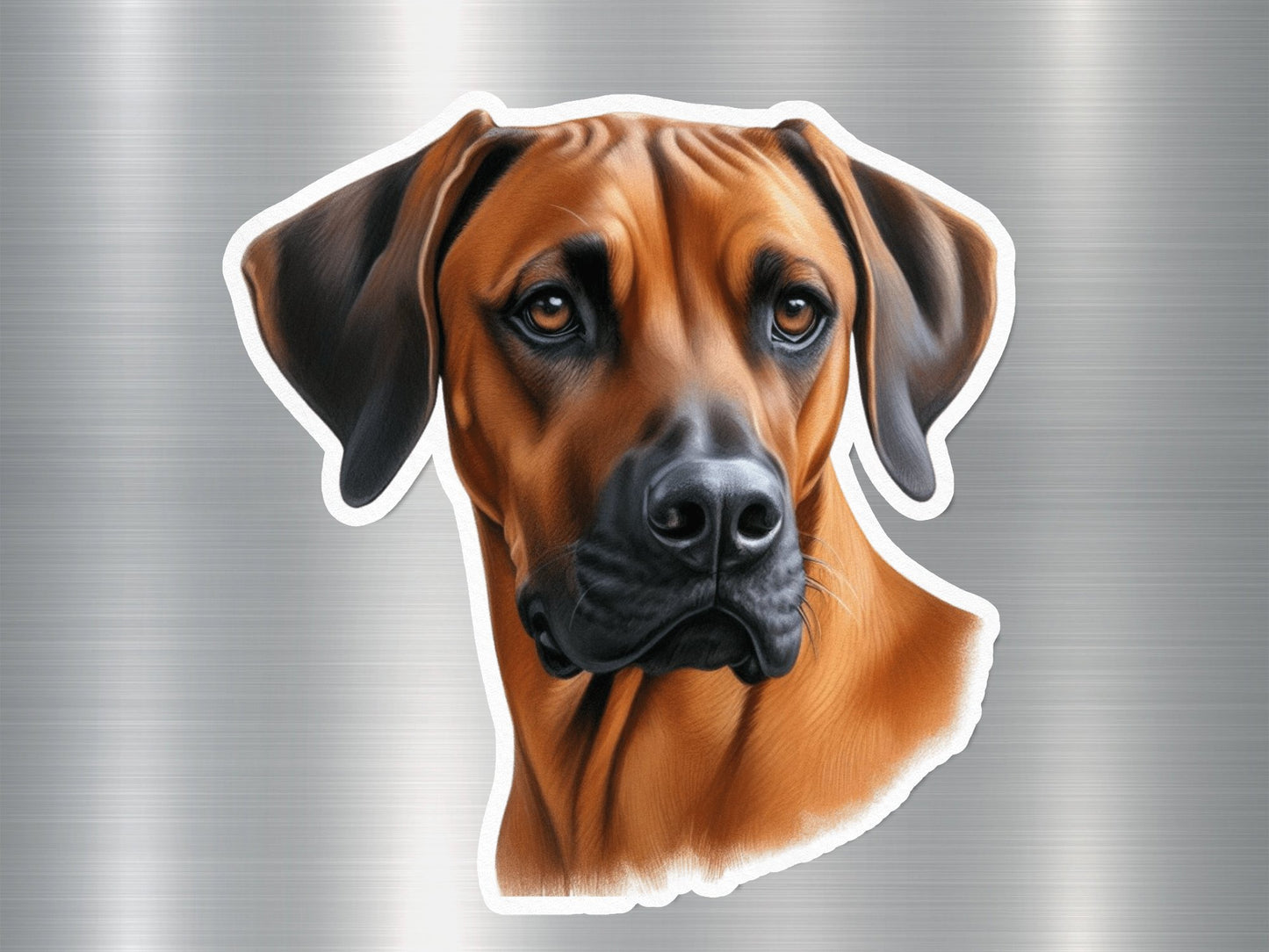 Fetching Rhodesian Ridgeback Dog Sticker