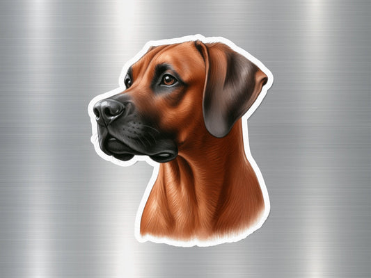 Charming Rhodesian Ridgeback Dog Sticker