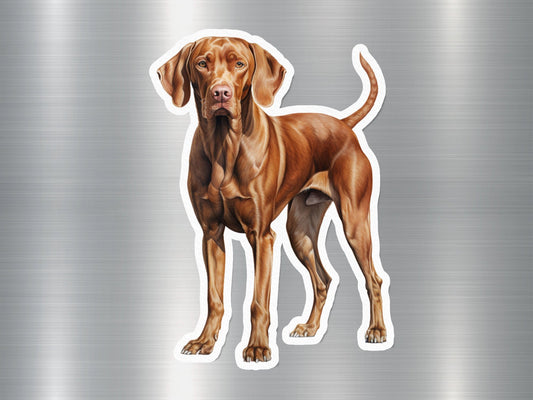 Charming Weimaraner Dog Sticker