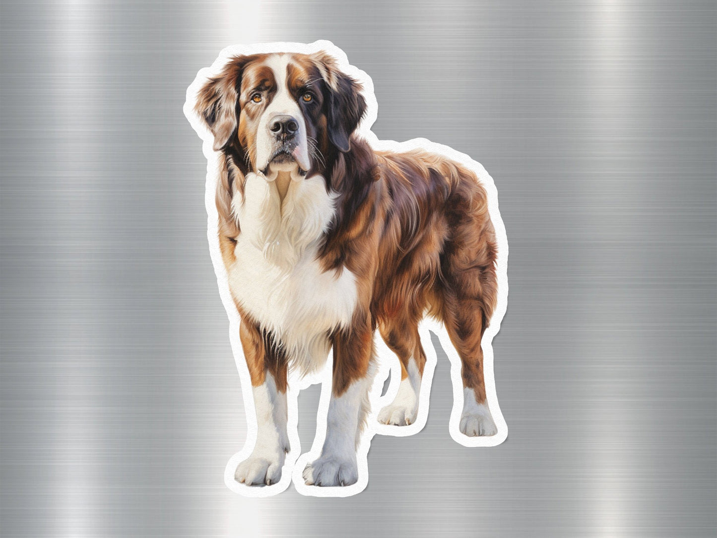 Appealing Australian Shepherd Dog Sticker