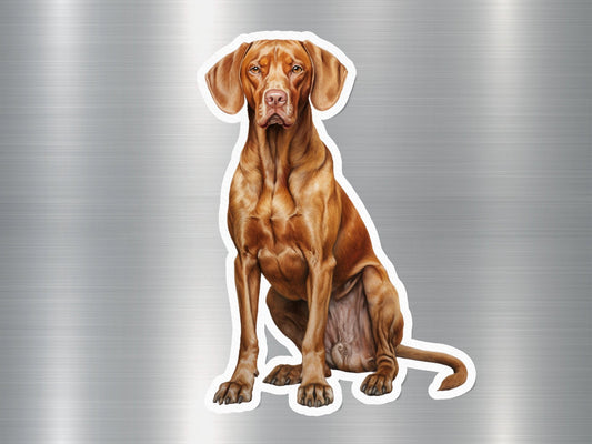 Charming Vizsla Dog Sticker