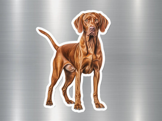 Adorable Vizsla Dog Sticker