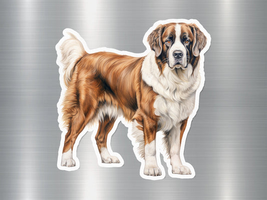 Appealing Saint Bernard Dog Sticker