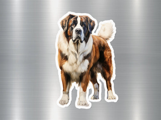 Attractive Saint Bernard Dog Sticker