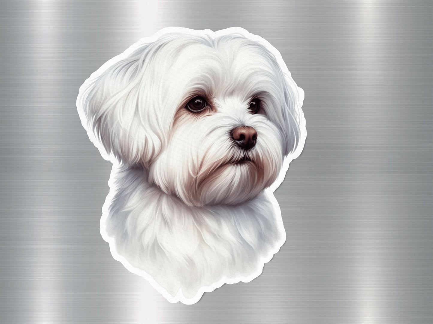 Maltese Dog Sticker