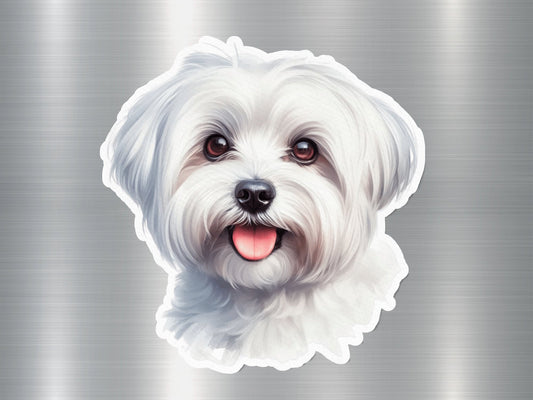 Lovable Maltese Dog Sticker