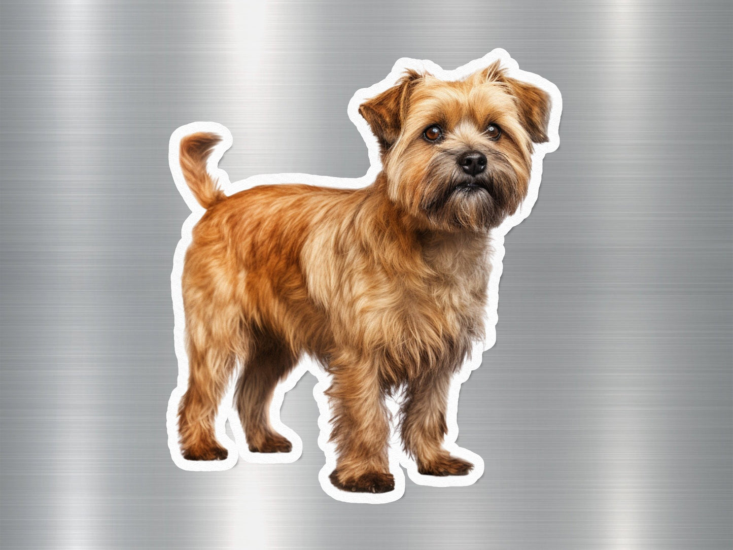 Adorable Yorkshire Terrier Dog Sticker