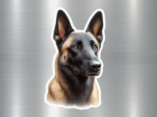 Sitting Belgian Malinois Dog Sticker