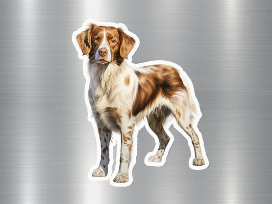 Brittany Spaniel Dog Sticker