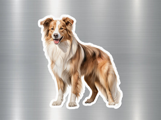 Rough Collie Dog Sticker