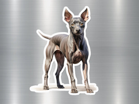 American Hairless Terrier Dog Sticker