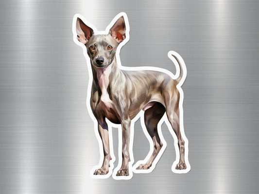 Cute American Hairless Terrier Dog Sticker